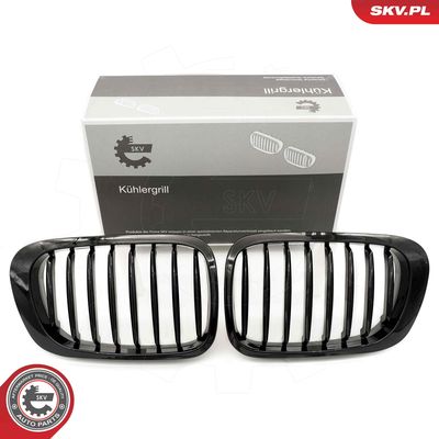 Radiator Grille ESEN SKV 66SKV055