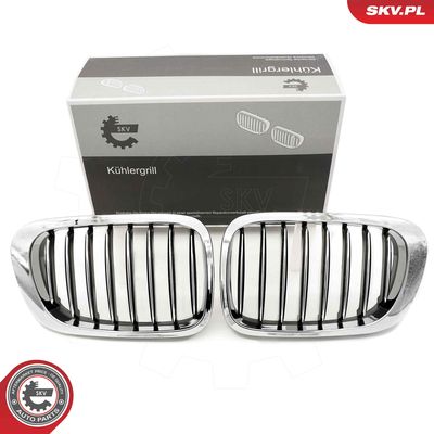 Radiator Grille ESEN SKV 66SKV057