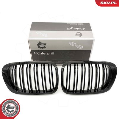 Radiator Grille ESEN SKV 66SKV059
