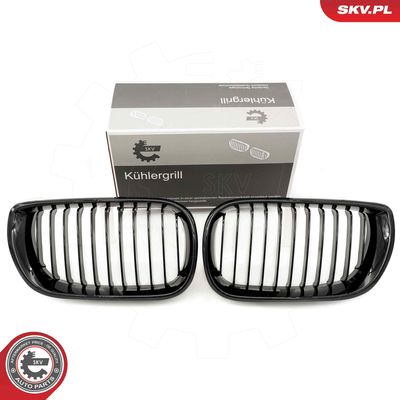 Radiator Grille ESEN SKV 66SKV075