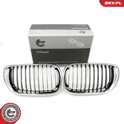 Radiator Grille ESEN SKV 66SKV078