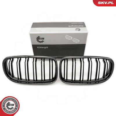 Radiator Grille ESEN SKV 66SKV103