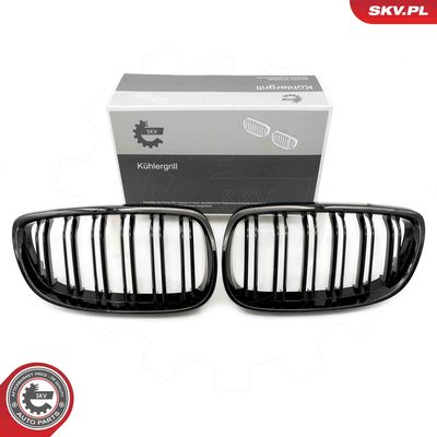 Radiator Grille ESEN SKV 66SKV107