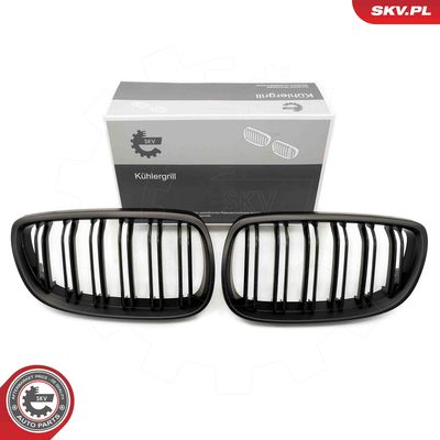 Radiator Grille ESEN SKV 66SKV109