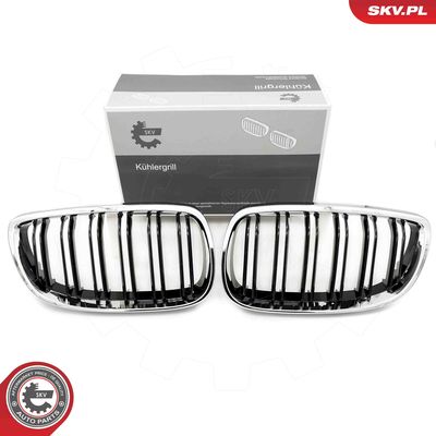 Radiator Grille ESEN SKV 66SKV110