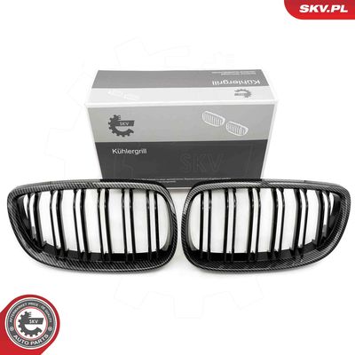Radiator Grille ESEN SKV 66SKV111