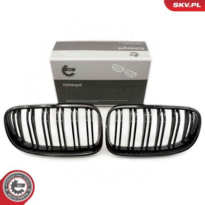 Radiator Grille ESEN SKV 66SKV116