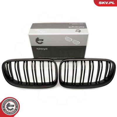 Radiator Grille ESEN SKV 66SKV117