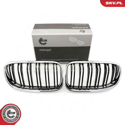 Radiator Grille ESEN SKV 66SKV118