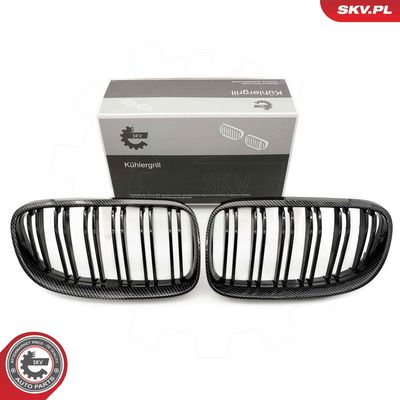 Radiator Grille ESEN SKV 66SKV119