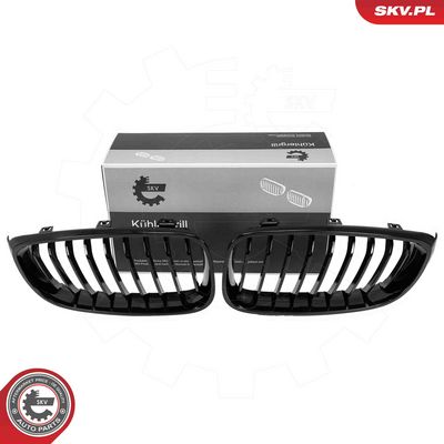 Radiator Grille ESEN SKV 66SKV131