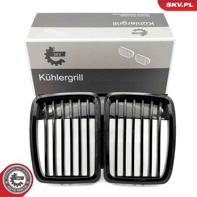 Radiator Grille ESEN SKV 66SKV146