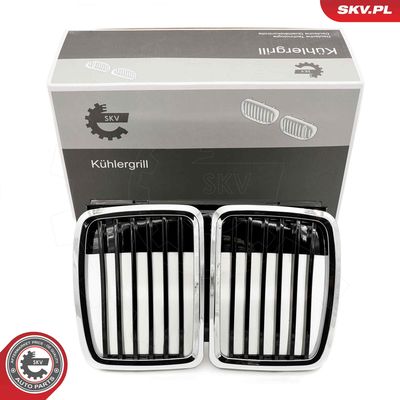 Radiator Grille ESEN SKV 66SKV148