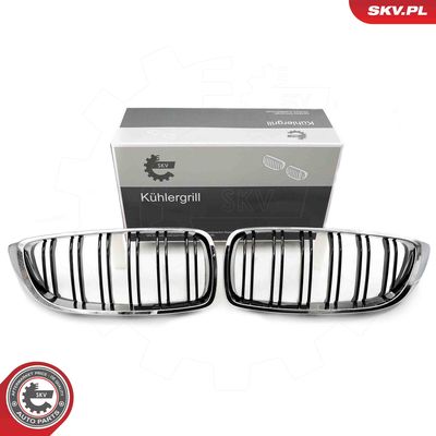 Radiator Grille ESEN SKV 66SKV152