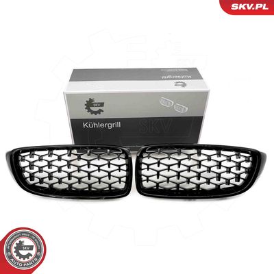 Radiator Grille ESEN SKV 66SKV154