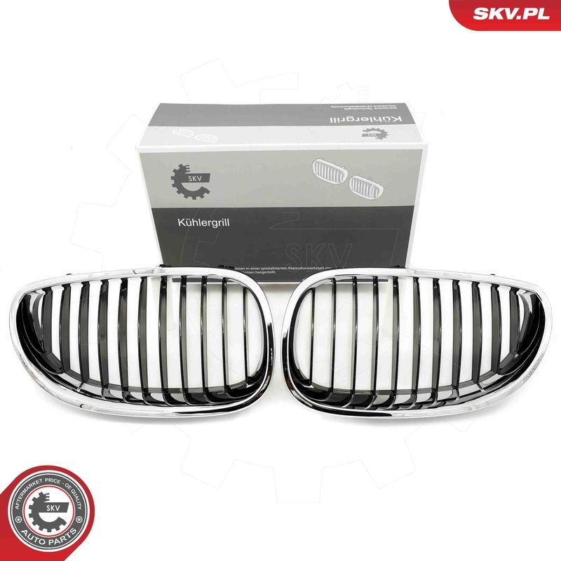 ESEN SKV 66SKV169 Radiator Grille