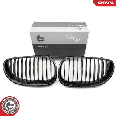 Radiator Grille ESEN SKV 66SKV170