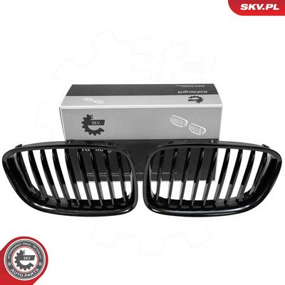 Radiator Grille ESEN SKV 66SKV176