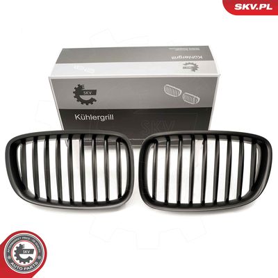 Radiator Grille ESEN SKV 66SKV177