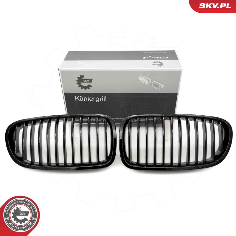 ESEN SKV 66SKV179 Radiator Grille