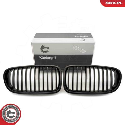 Radiator Grille ESEN SKV 66SKV181