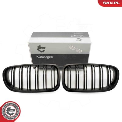 Radiator Grille ESEN SKV 66SKV185