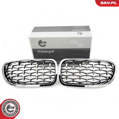 Radiator Grille ESEN SKV 66SKV192