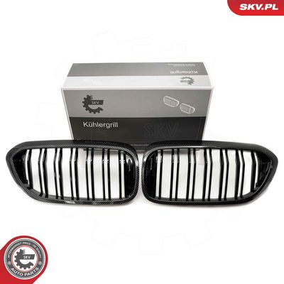 Radiator Grille ESEN SKV 66SKV197