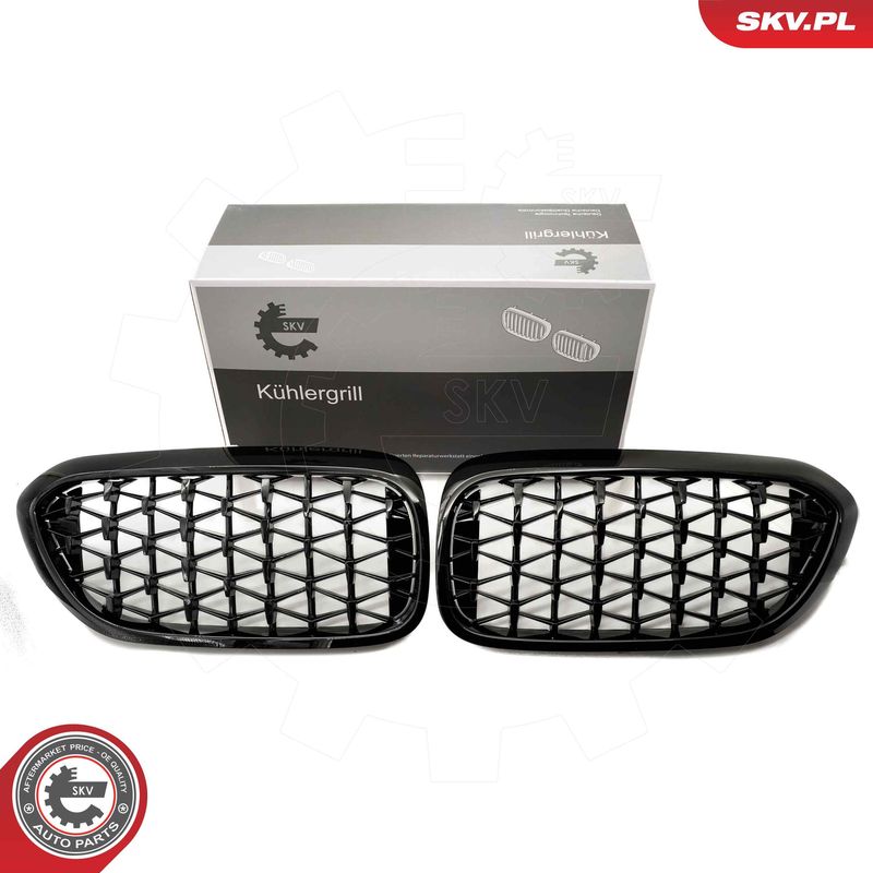ESEN SKV 66SKV200 Radiator Grille