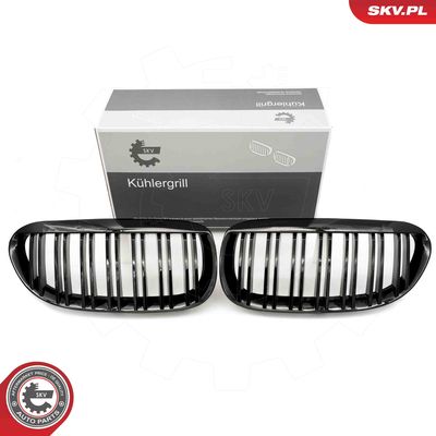 Radiator Grille ESEN SKV 66SKV205