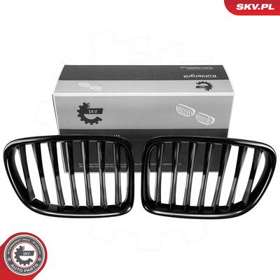 Radiator Grille ESEN SKV 66SKV230