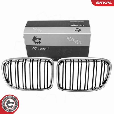 Radiator Grille ESEN SKV 66SKV232