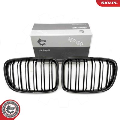 Radiator Grille ESEN SKV 66SKV233