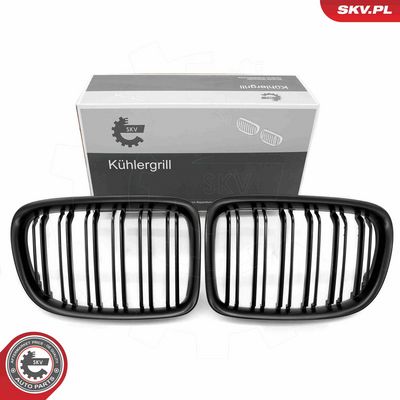 Radiator Grille ESEN SKV 66SKV234