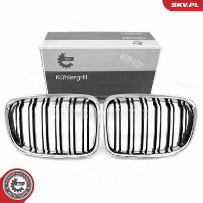 Radiator Grille ESEN SKV 66SKV235
