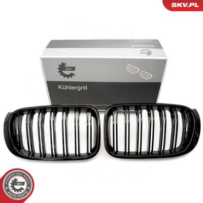 Radiator Grille ESEN SKV 66SKV255
