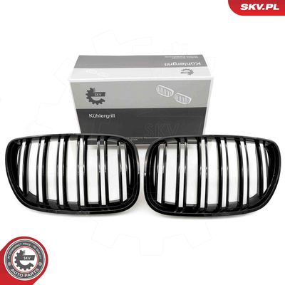 Radiator Grille ESEN SKV 66SKV281