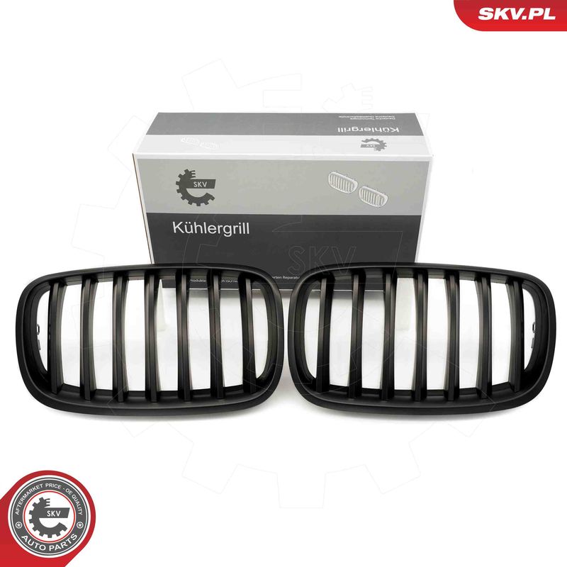 ESEN SKV 66SKV284 Radiator Grille