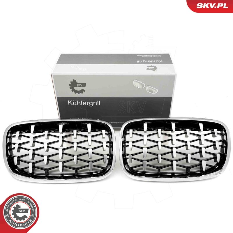 ESEN SKV 66SKV293 Radiator Grille