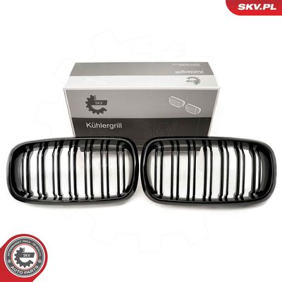 Radiator Grille ESEN SKV 66SKV296