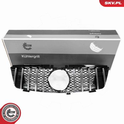 Radiator Grille ESEN SKV 66SKV584