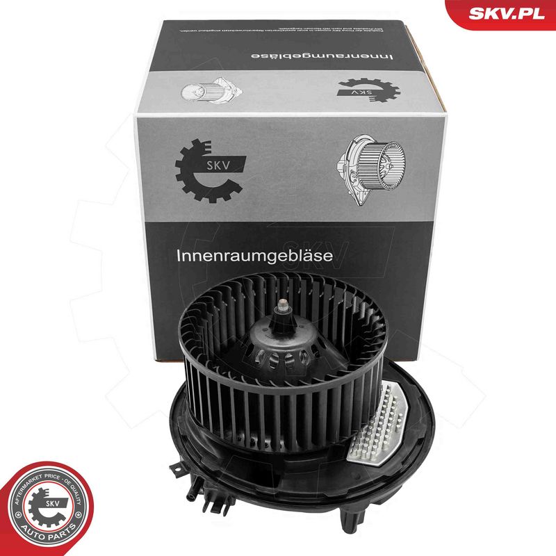 ESEN SKV 68SKV252 Interior Blower