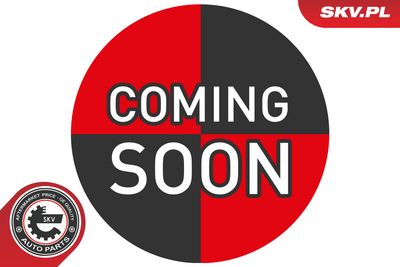 Wheel Sensor, tyre-pressure monitoring system ESEN SKV 70SKV023