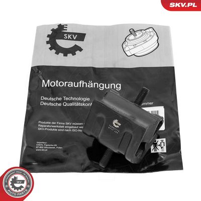 Mounting, engine ESEN SKV 75SKV113