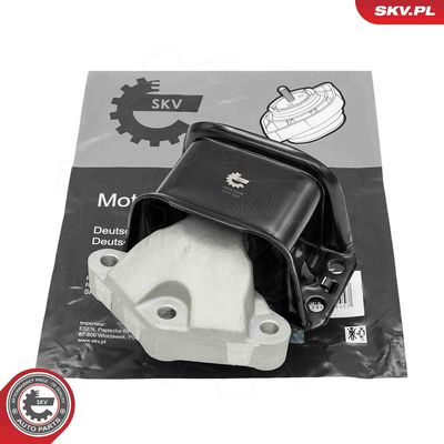 Mounting, engine ESEN SKV 75SKV248