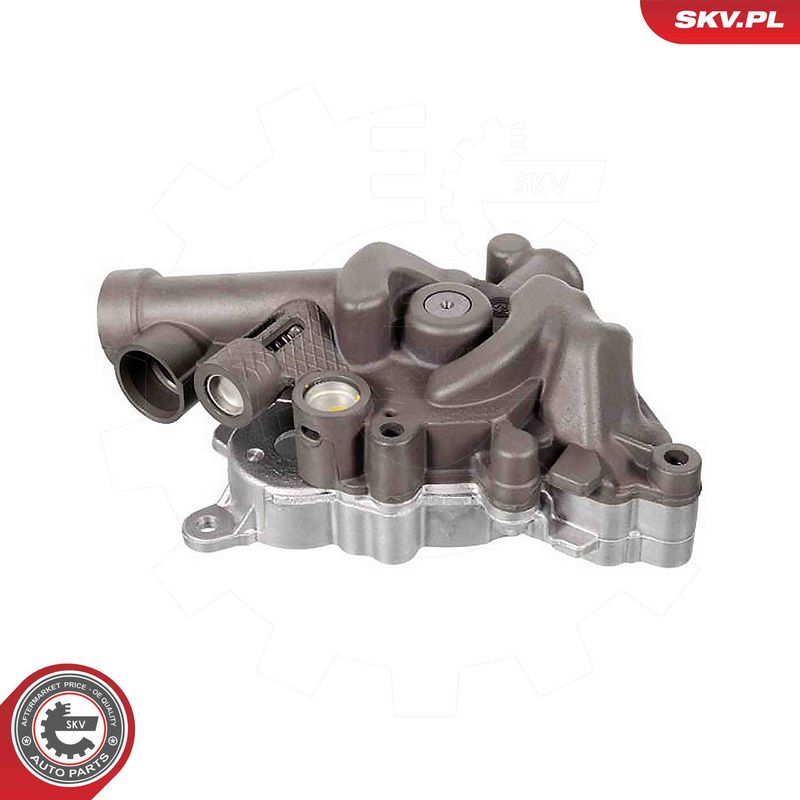 ESEN SKV 77SKV006 Oil Pump