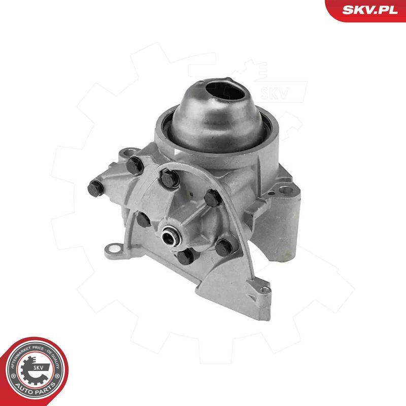 ESEN SKV 77SKV050 Oil Pump