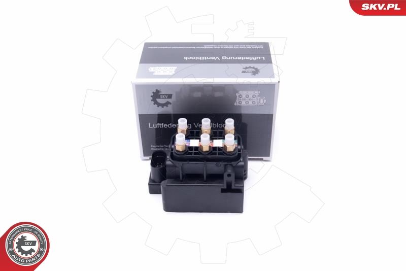 ESEN SKV 93SKV800 Valve, compressed-air system