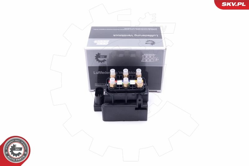 ESEN SKV 93SKV801 Valve, compressed-air system