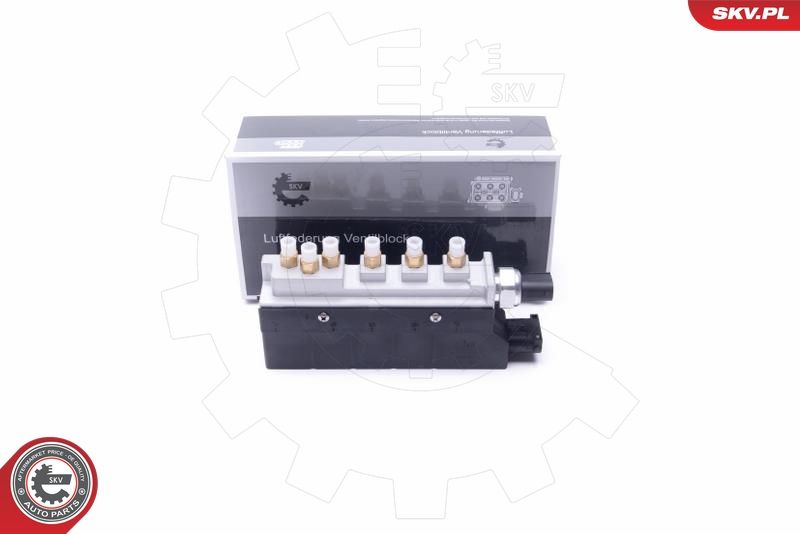 ESEN SKV 93SKV802 Valve, compressed-air system